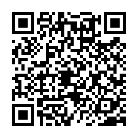 QR code for MMF4299