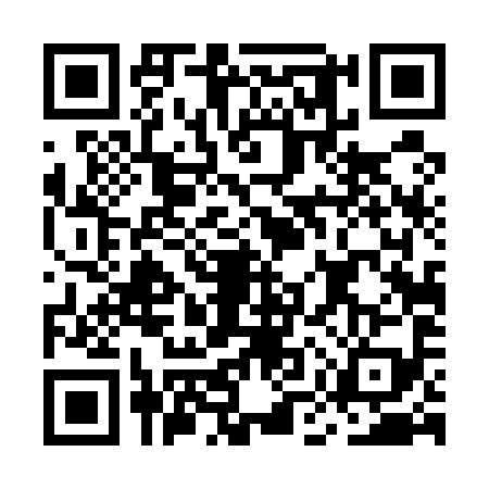 QR code for MMT5993