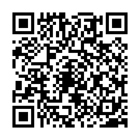 QR code for MNZ0313