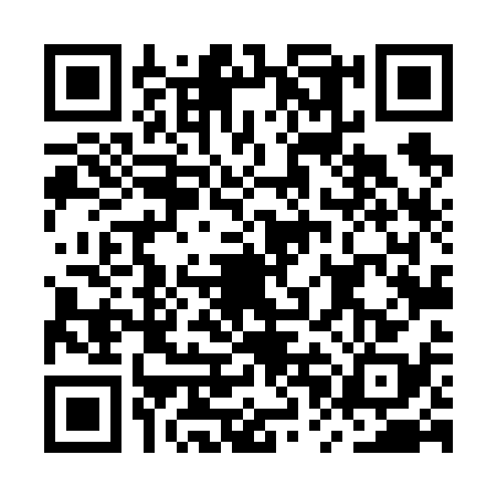 QR code for MPL6382