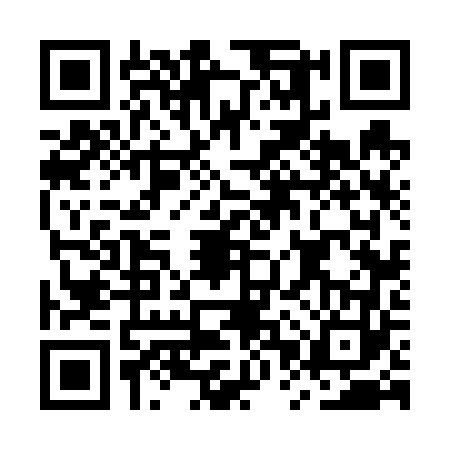 QR code for MPV6638