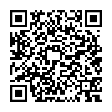 QR code for MSG2304