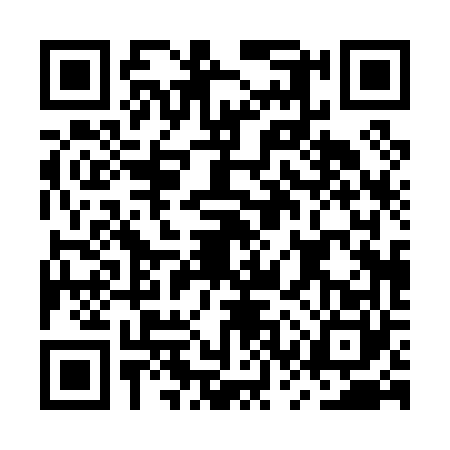 QR code for MSP0606