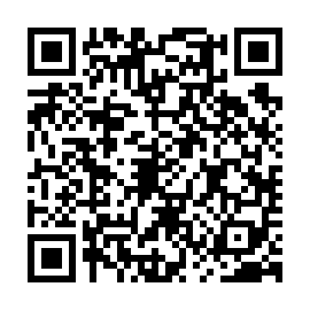 QR code for MSR6596