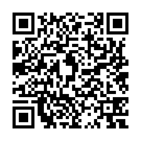 QR code for MSR9387