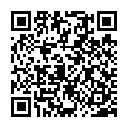 QR code for MSS6228