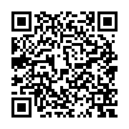 QR code for MSX2668