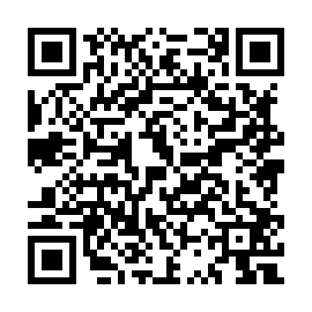 QR code for MSX8029