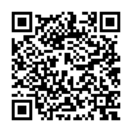QR code for MYR5336