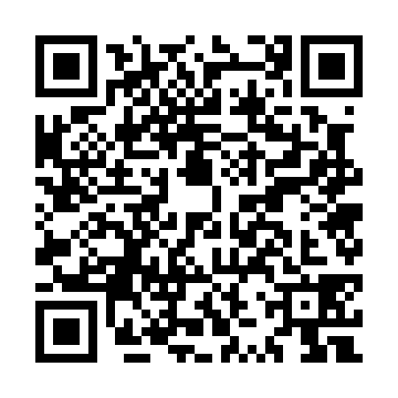 QR code for MZW0381