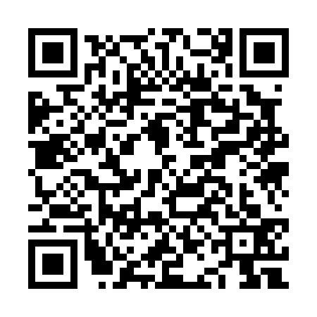 QR code for NAK0333
