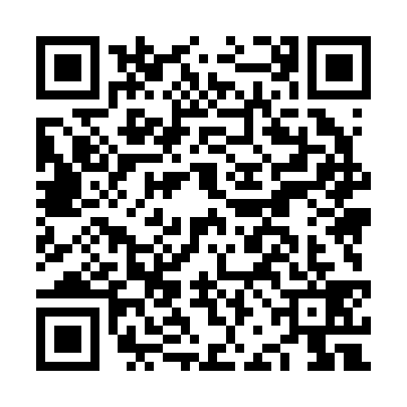 QR code for NBM2393