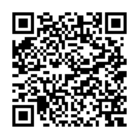 QR code for NBQ7533