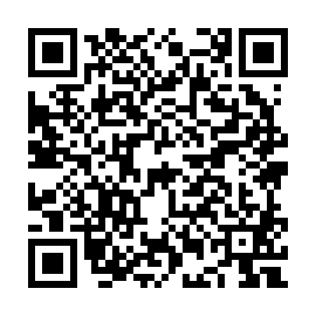 QR code for NEI2813