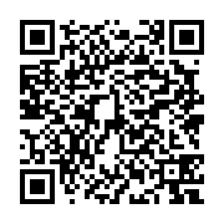 QR code for NEM0383
