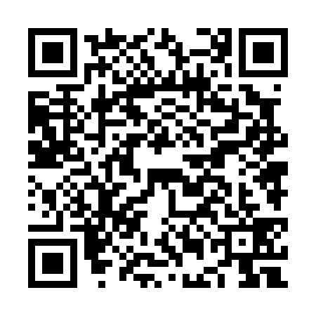 QR code for NEN0393