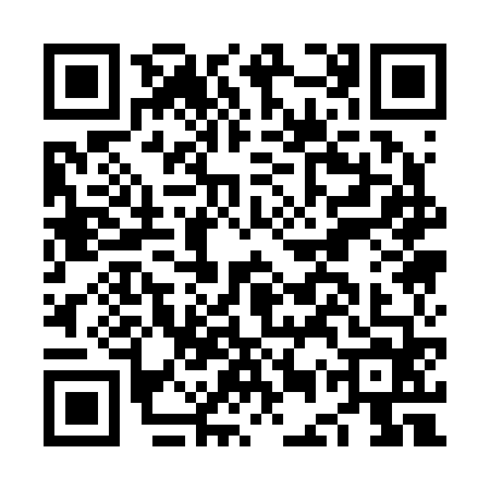 QR code for NEQ2641