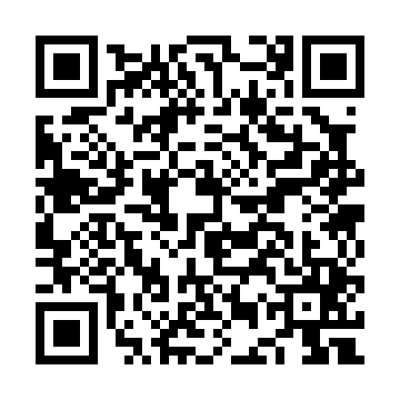 QR code for NES0452