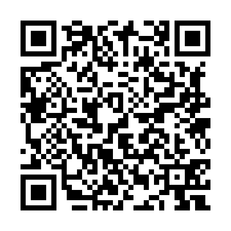 QR code for NES8311