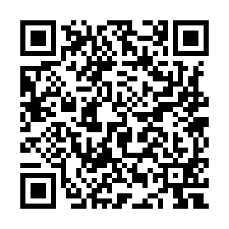 QR code for NES9915