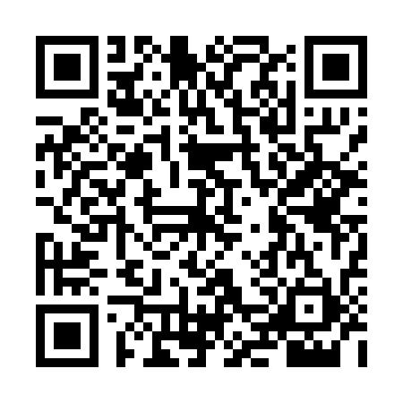 QR code for NFP0313