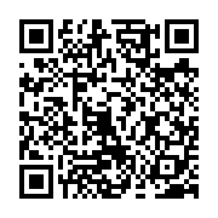 QR code for NGQ6595