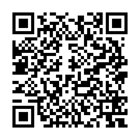 QR code for NII6696