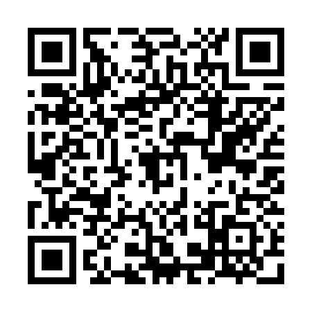QR code for NKI6313