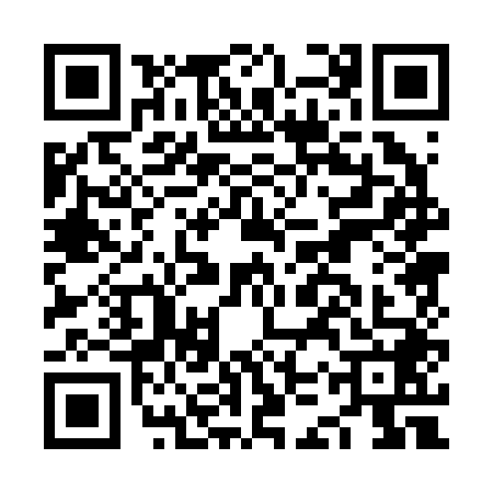 QR code for NKP2483