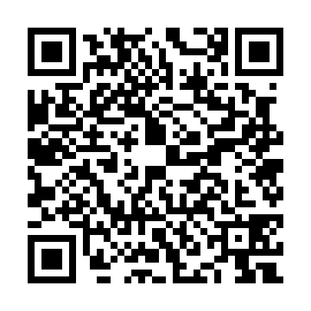 QR code for NNG0381