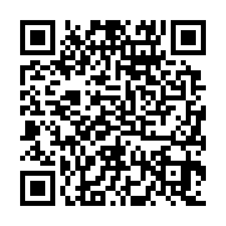 QR code for NNV3311
