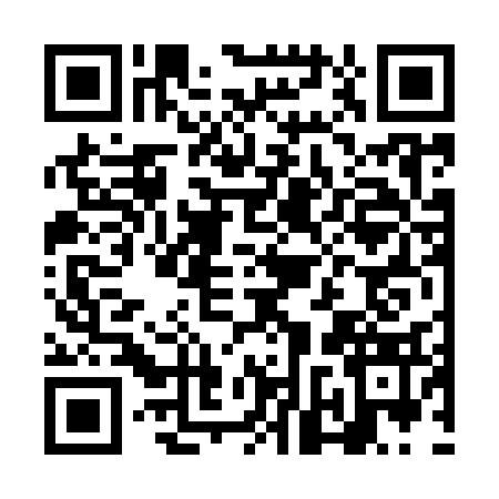 QR code for NNV9335