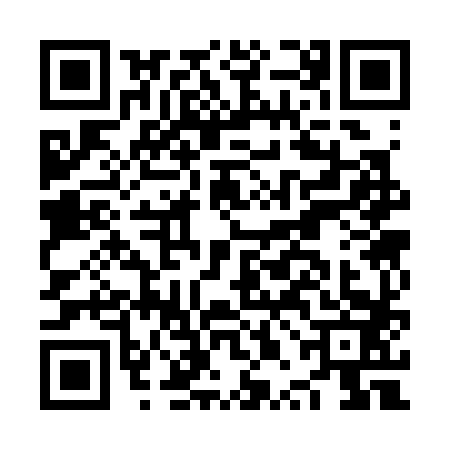 QR code for NPC3838