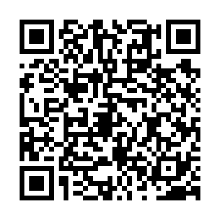 QR code for NPE6313