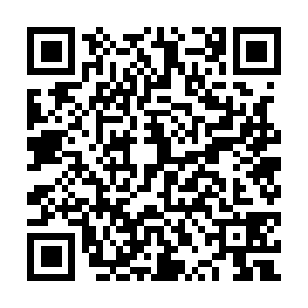 QR code for NPG1384