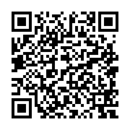QR code for NPM3991