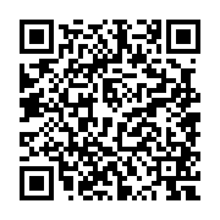 QR code for NPN0410