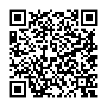 QR code for NPZ8738