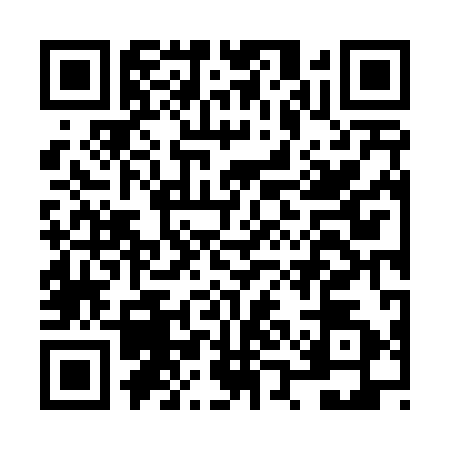 QR code for NQN4929