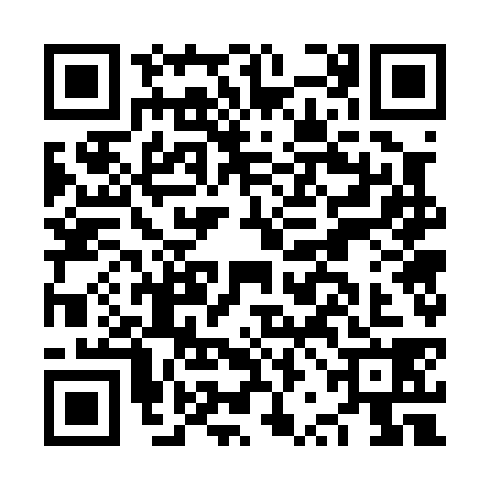 QR code for NRG0384