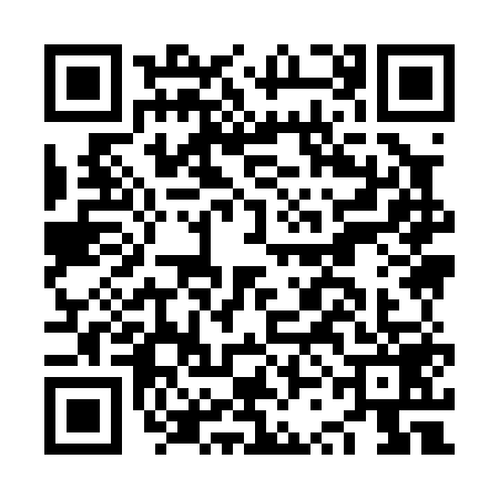 QR code for NSI0596
