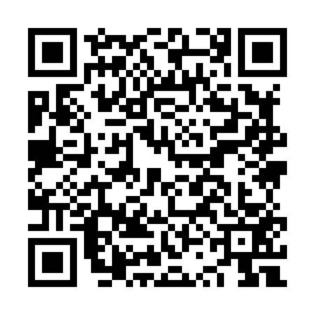 QR code for NSI8533