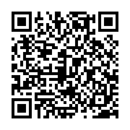 QR code for NST0976
