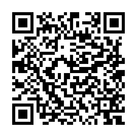 QR code for NTS9533