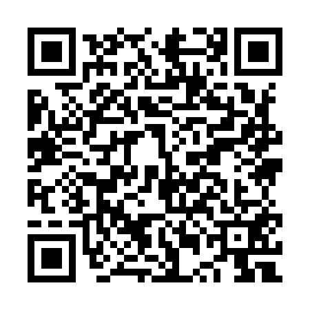 QR code for NUI9513