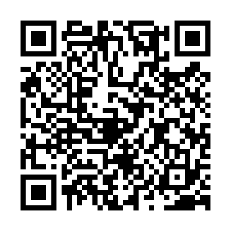 QR code for NYQ4339