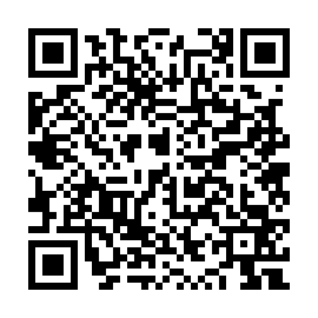 QR code for NYR1638