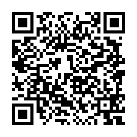 QR code for NYX4993
