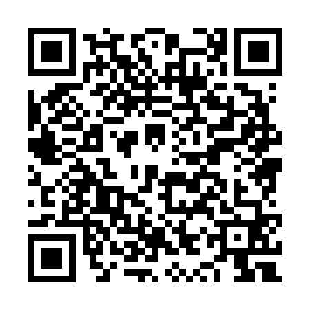 QR code for NYX6608