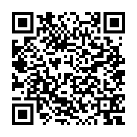QR code for NYZ3729